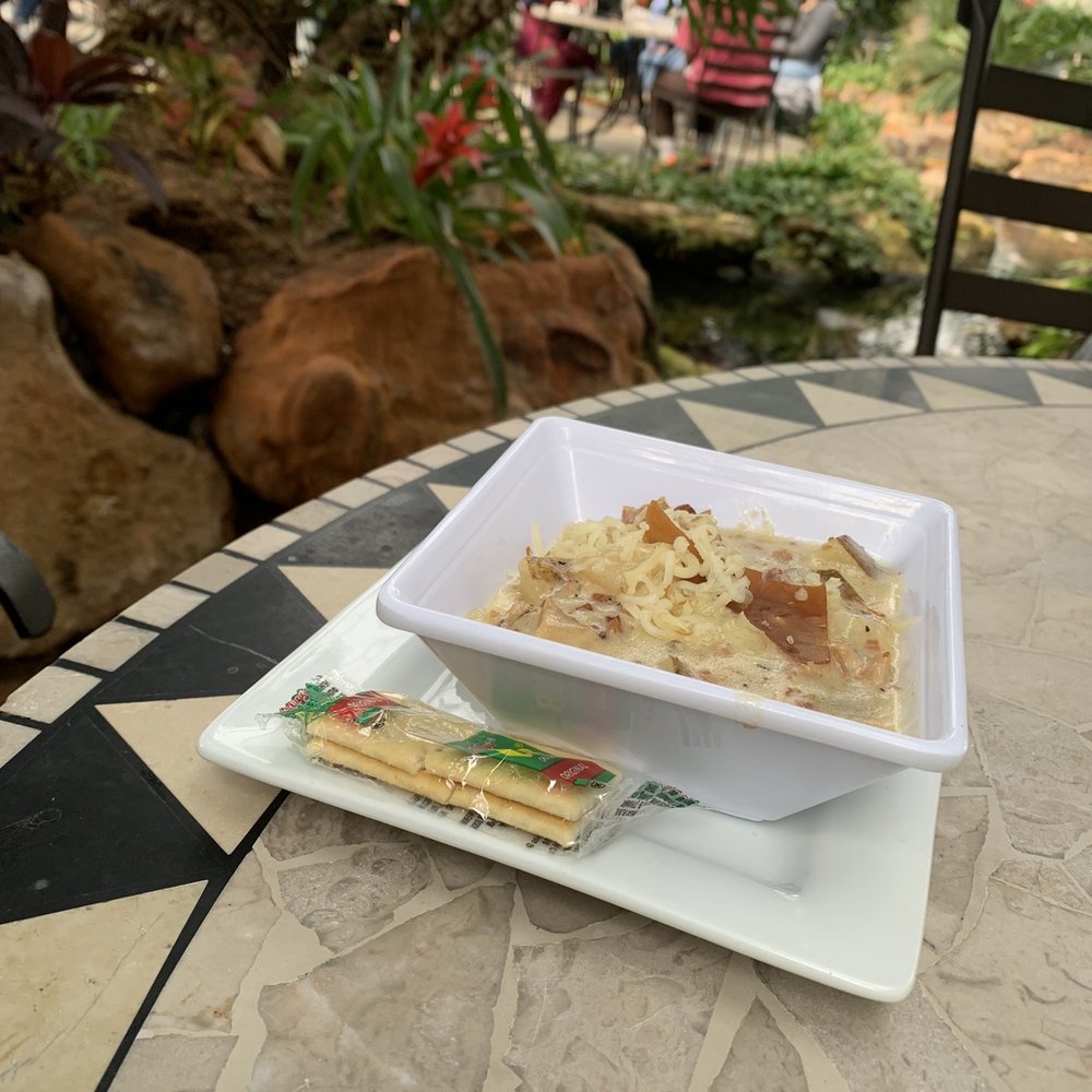Cafe At The Gardens - Loaded baked potato soup - Cafes Near Me - Midland, Texas Cafe At The Gardens - Loaded baked potato soup - Cafes Near Me - Midland, Texas
