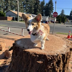 M&R Tree services - Having a little fun on lunch break with our boss .