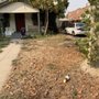 Photo of Carson's Gardening