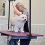 Photo of Valley of the Paws Pet Grooming