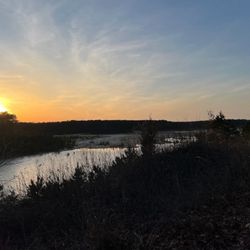 Nature Preserve