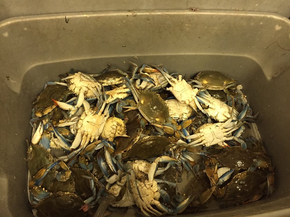 NORTHSIDE ORIENTAL MARKET Updated August 2024 2024 Bandera Rd, San