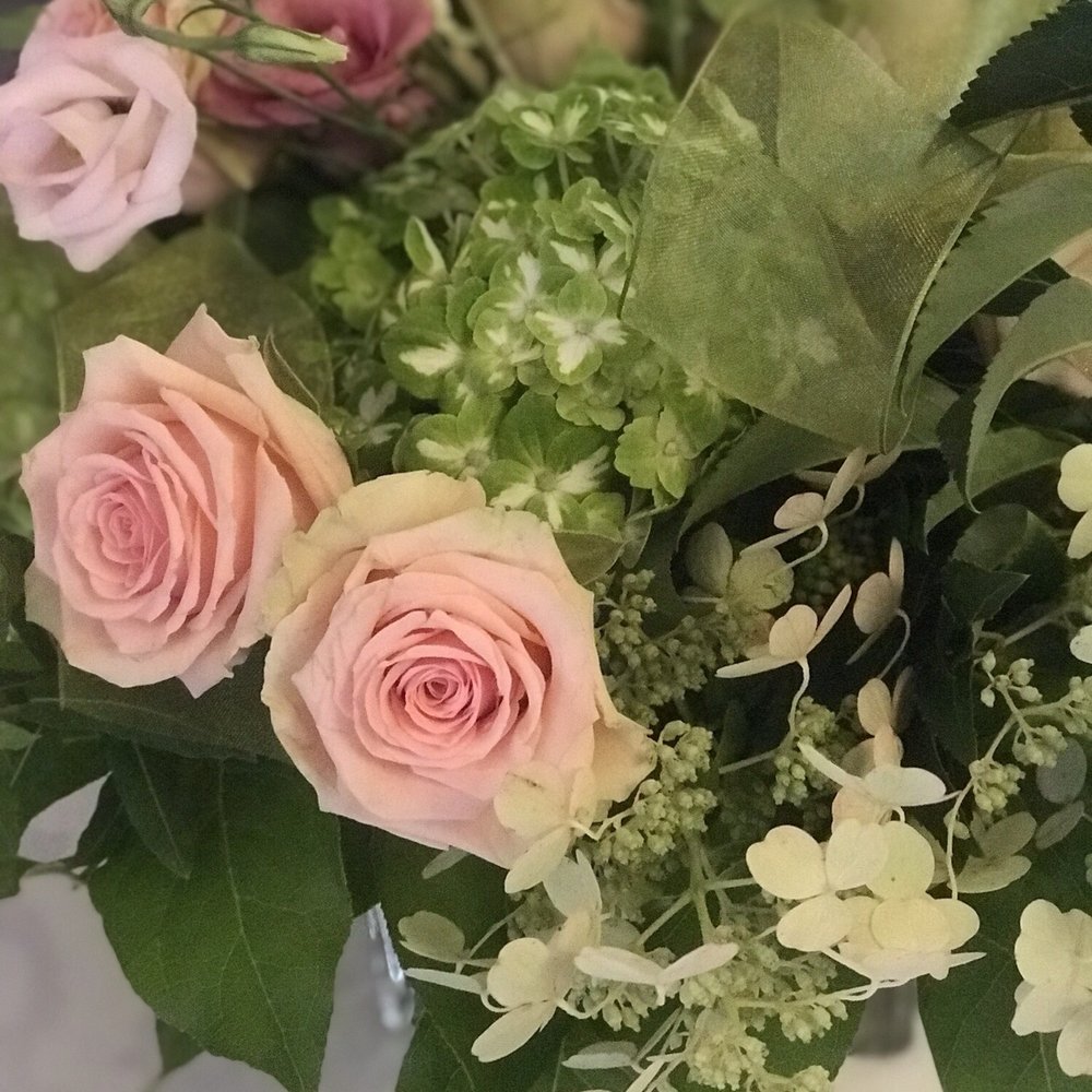 Giant Eagle Flowers New Castle Pa Best Flower Site