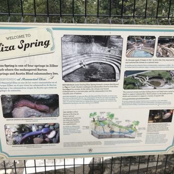Zilker Metropolitan Park - 10/26/21 Eliza Spring - Parks Near Me - Austin, Texas