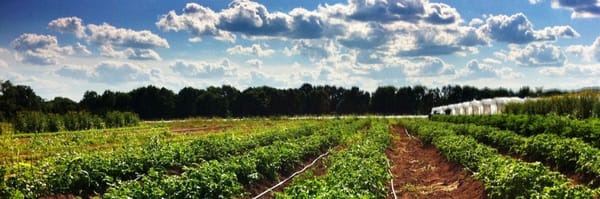 Blue Moon Acres Buckingham, PA by null