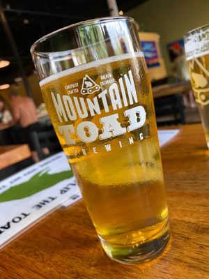 Mountain Toad Brewing by null