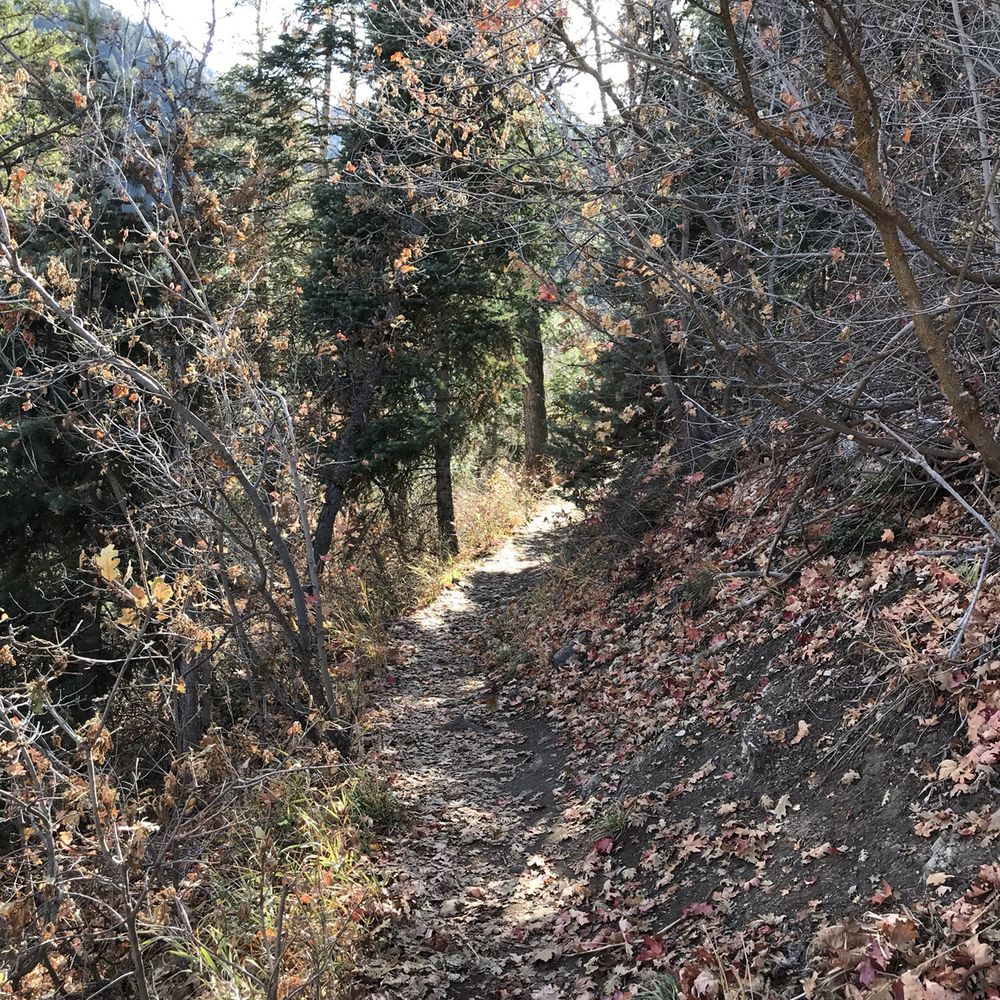 Desolation Trail - Beautiful fall colors - Hiking Near Me - Salt Lake City, Utah