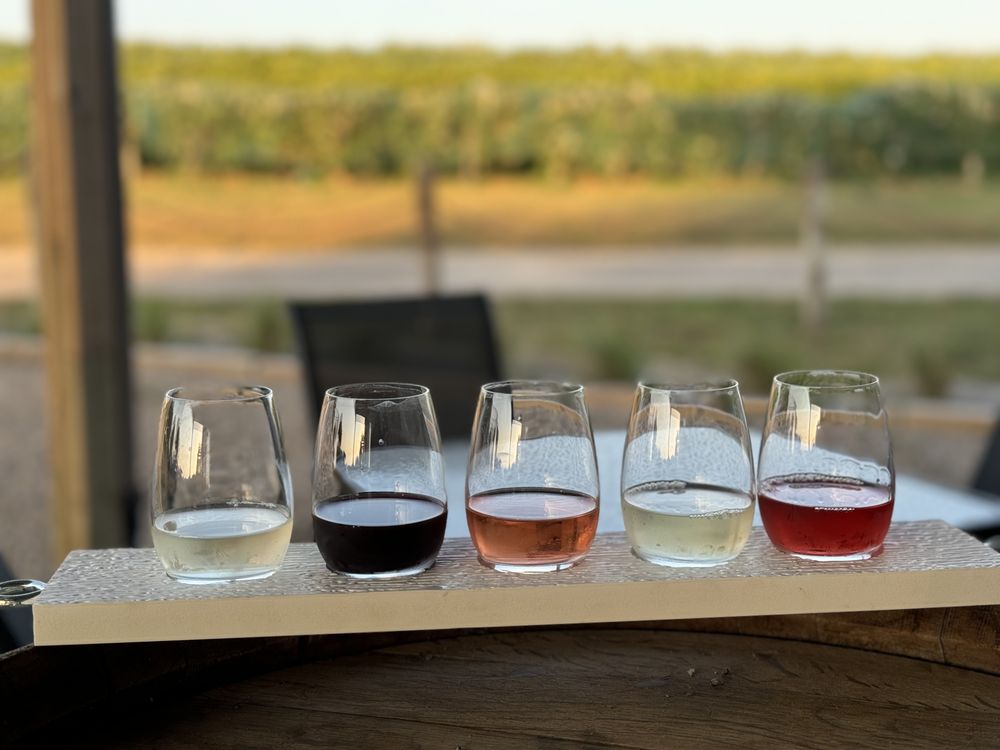 Dosaage Vineyard + Winery - vineyard in Grimes, IA