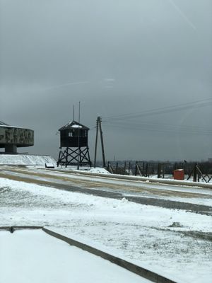 State Museum at Majdanek by null