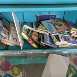 Little Free Library