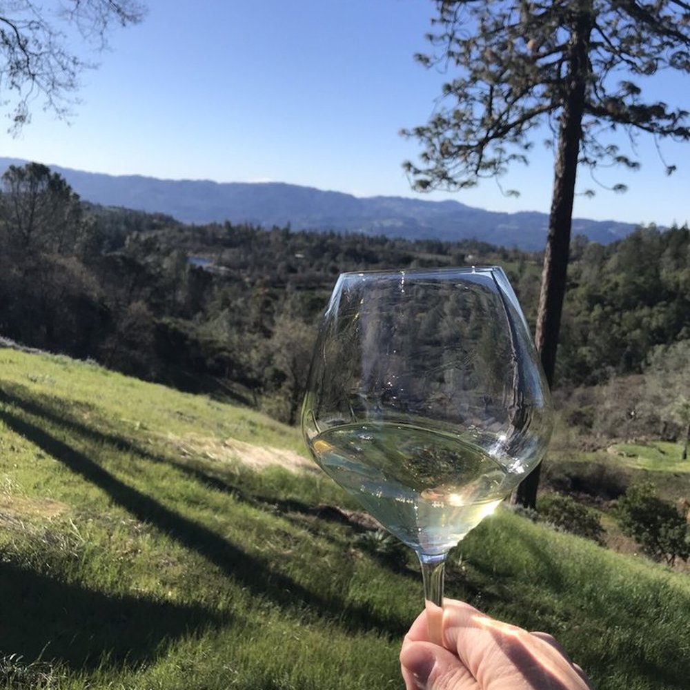 Outpost Wines - Welcome Chardonnay and a killer view. - Wineries Near Me - Angwin, California