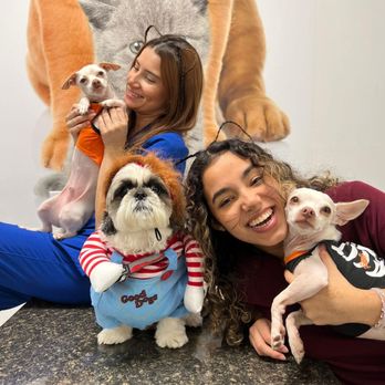 South Florida Pet Emergency - Veterinarians Near Me - Hialeah, Florida South Florida Pet Emergency - Veterinarians Near Me - Hialeah, Florida
