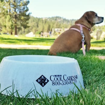Big Bear Cool Cabins - Big Bear Cool Cabins is super dog friendly! - Property Management Near Me - Big Bear Lake, California Big Bear Cool Cabins - Big Bear Cool Cabins is super dog friendly! - Property Management Near Me - Big Bear Lake, California