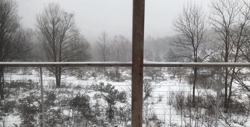 THE JUNIPER INN 13 Photos Bed & Breakfast 9432 Maple Grove Rd