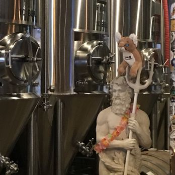 RipTide Brewing Company - Amid the brewery stainless steel, Poseidon and his pet cat, Uno - a rescued, one eyed FL panther who lives at Naples Zoo - Breweries Near Me - Naples, Florida