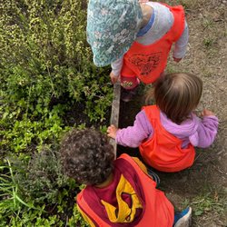 Noe Valley Nursery School