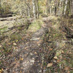 Farmstead Park