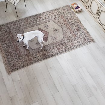 Van Cott Flooring - a dog laying on a rug - Flooring Near Me - Boynton Beach, Florida