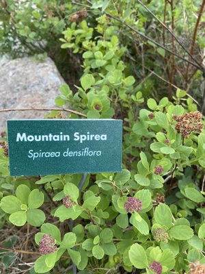 UC Davis Tahoe City Field Station by null
