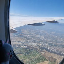 United Airlines - Enjoyed the window seat!
