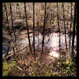 Big Sur River
