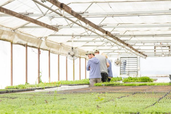 The Chef's Garden by null