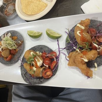 Holbox - Scallop Taco, Baja Fish Taco, Baja Shrimp Taco - Latin American Near Me - Los Angeles, California Holbox - Scallop Taco, Baja Fish Taco, Baja Shrimp Taco - Latin American Near Me - Los Angeles, California