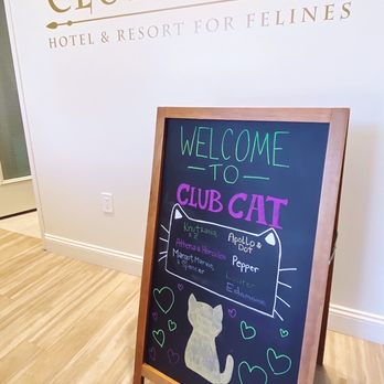 Club Cat - Thoughtful "Welcome" sign at Club Cat - Pet Boarding Near Me - Irvine, California Club Cat - Thoughtful "Welcome" sign at Club Cat - Pet Boarding Near Me - Irvine, California