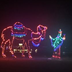 Cottom Farm's Christmas village
