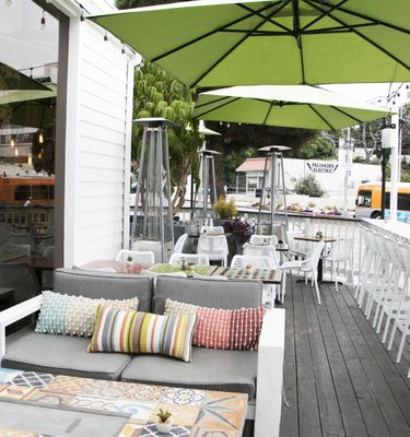 Juicy Ladies by null