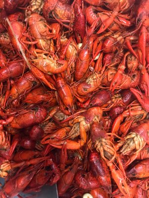 Pinchin’ Tails & More