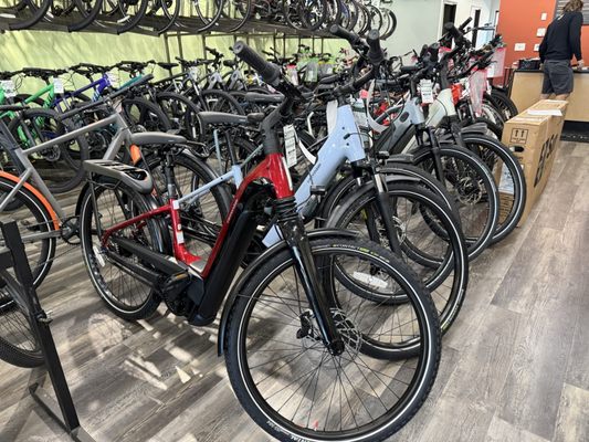 Conte's Bike Shop by null