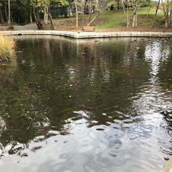 Hemlock Ravine Park - Check out the heart shaped pond that the future king of England built for his one true love, Julie,  in the late 18th century. - Hiking Near Me - Halifax, Nova Scotia