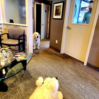 Gruber Dental - Chewey is very friendly! - General Dentistry Near Me - Parsippany-troy Hills, New Jersey