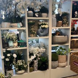 HomeGoods - 1/16/26