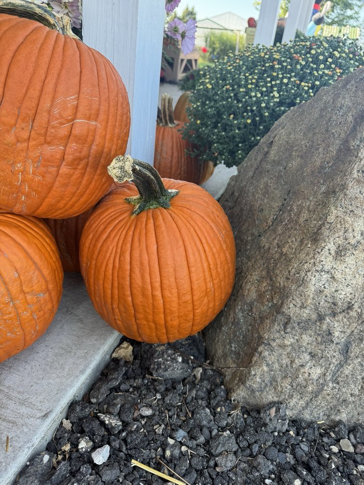 Amanda's Bakeshop & Farm Market Logo