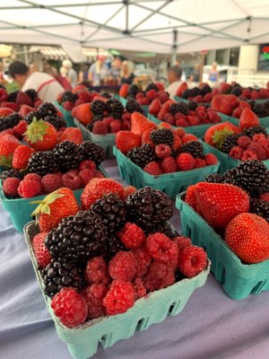 Eugene Saturday Market by null