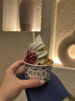 MYKA Greek Frozen Yogurt by null