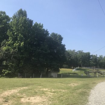 All A Flutter - View from the gravel drive toward the petting zoo (goats only I believe) and in the distance is where you park - Pet Breeders Near Me - High Point, North Carolina