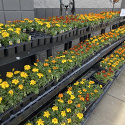 user provided White's Ace Hardware At Geist photo