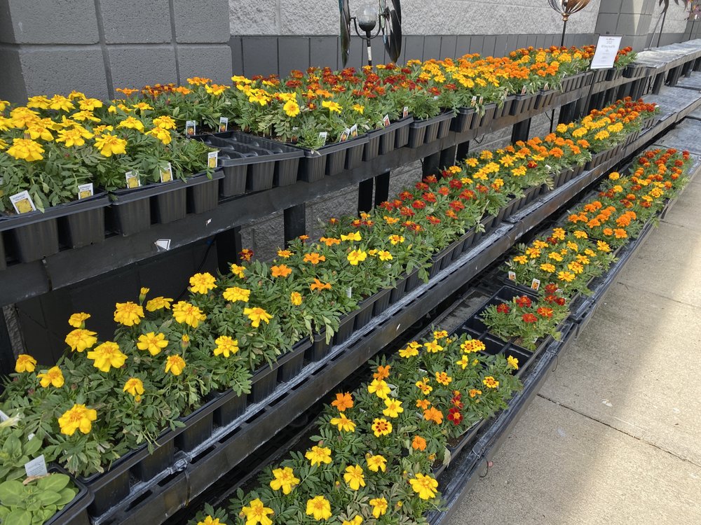 WHITE’S ACE HARDWARE AT GEIST Updated October 2024 10 Photos & 20