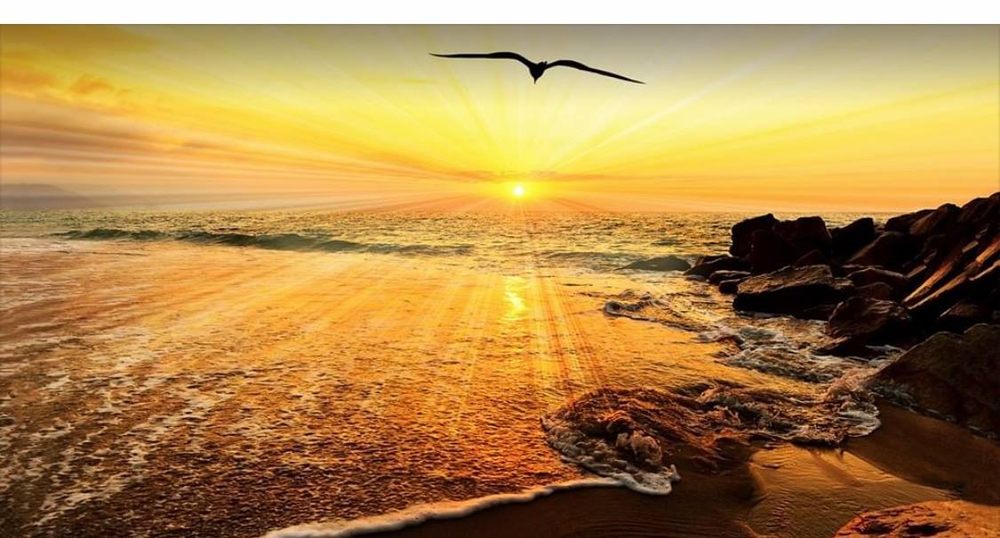 Continuum Care Hospice and Palliative Care - grief counselor in Everett, WA