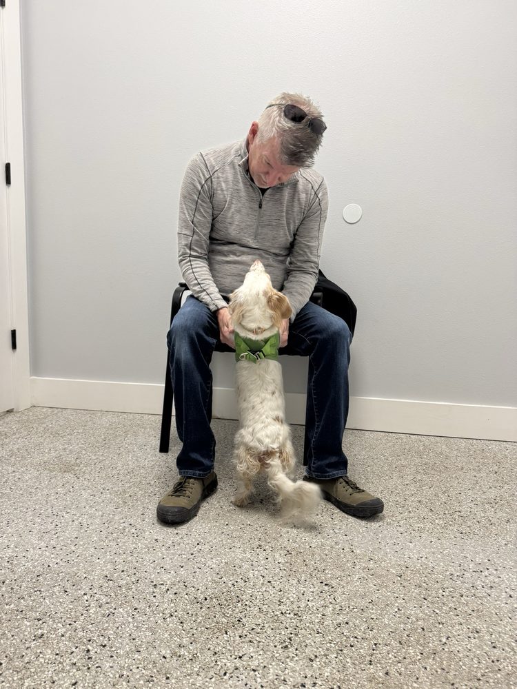 Hometown Veterinary Care Image