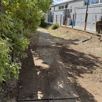 Leo's Tree Service - They lifted up the sidewalk and ground the stump beneath, leaving the sidewalk better than ever. - Tree Services Near Me Leo's Tree Service - They lifted up the sidewalk and ground the stump beneath, leaving the sidewalk better than ever. - Tree Services Near Me