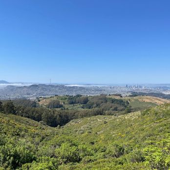 San Bruno Mountain State & County Park - Parks Near Me - Brisbane, California San Bruno Mountain State & County Park - Parks Near Me - Brisbane, California