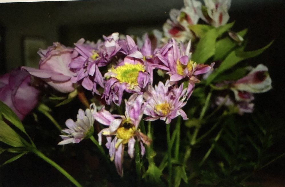 BLOOMEX HALIFAX FLOWERS Updated October 2024 12 Photos & 16 Reviews