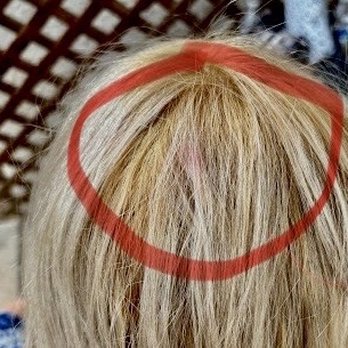 Salon Zoya - Oh and she dropped a non rinsed brush or used something not cleaned out and actually deposited pink dye in a spot on my head. - Waxing Near Me - Scottsdale, Arizona Salon Zoya - Oh and she dropped a non rinsed brush or used something not cleaned out and actually deposited pink dye in a spot on my head. - Waxing Near Me - Scottsdale, Arizona