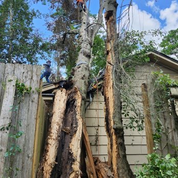 Long Horn Tree Solution - Tree fallen over a garage. - Tree Services Near Me Long Horn Tree Solution - Tree fallen over a garage. - Tree Services Near Me
