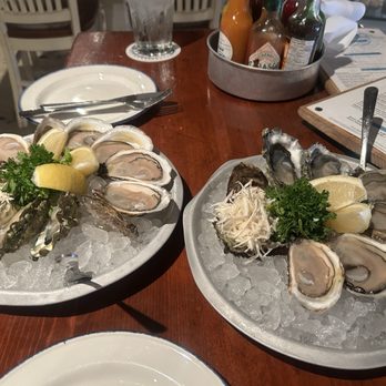 Rodney's Oyster House - mix of east coast and fanny bay oysters - Seafood Near Me - Vancouver, British Columbia