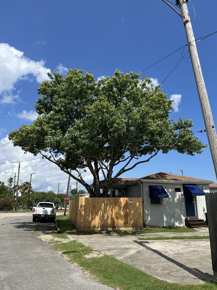Lookin Good Treeman Service  - tree service in Kenner, LA